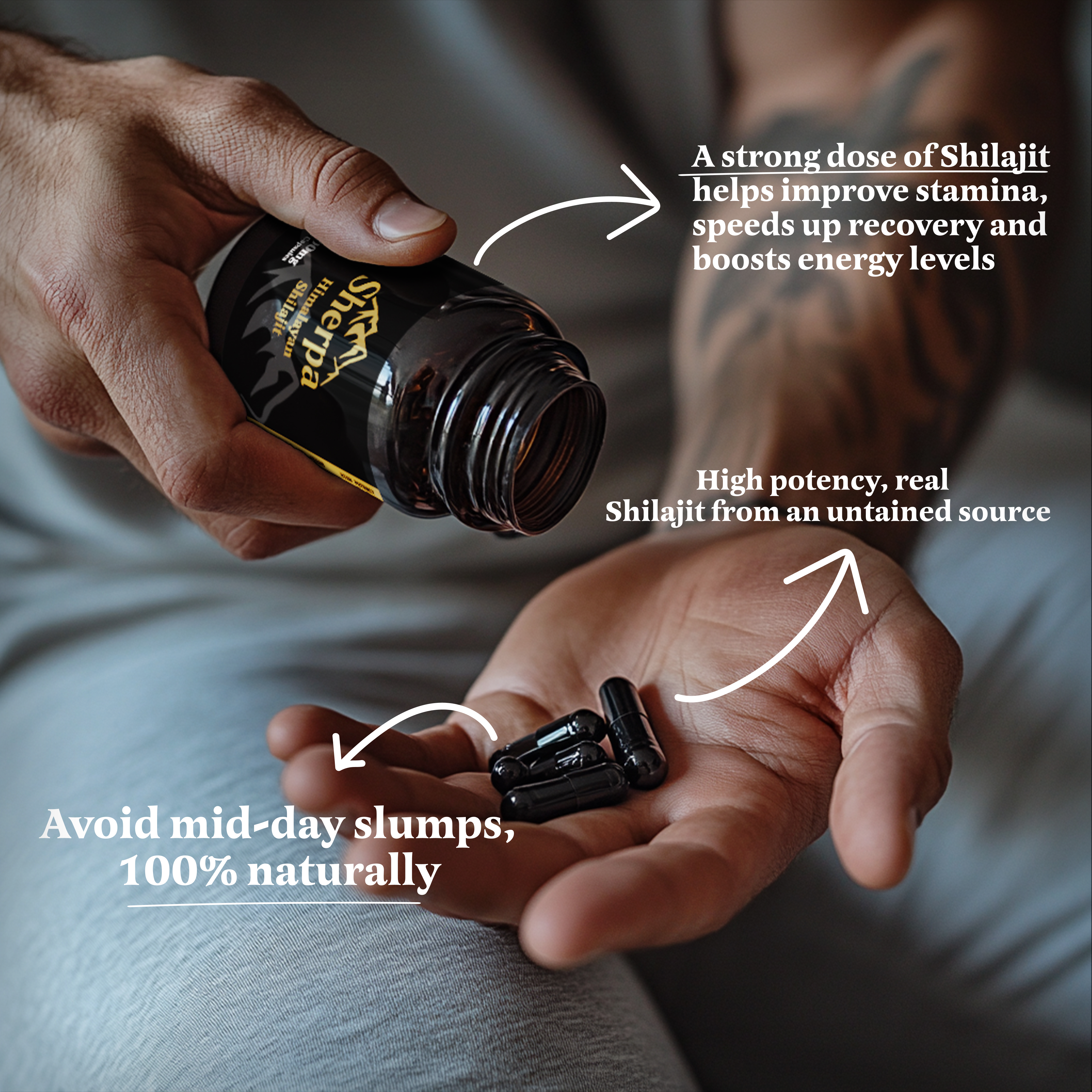 Shilajit Capsules 500mg | 720 Capsules