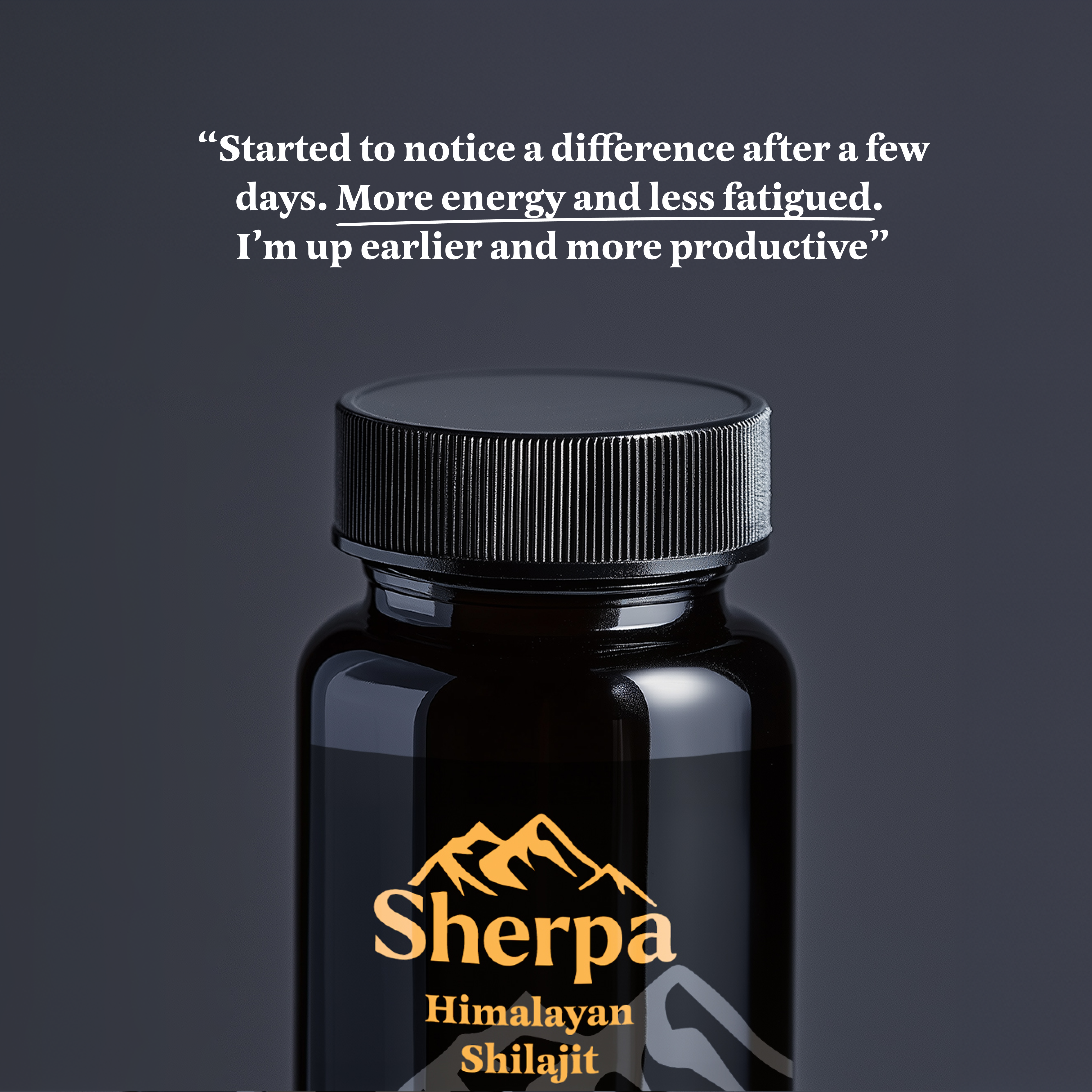 Shilajit Capsules 500mg | 720 Capsules