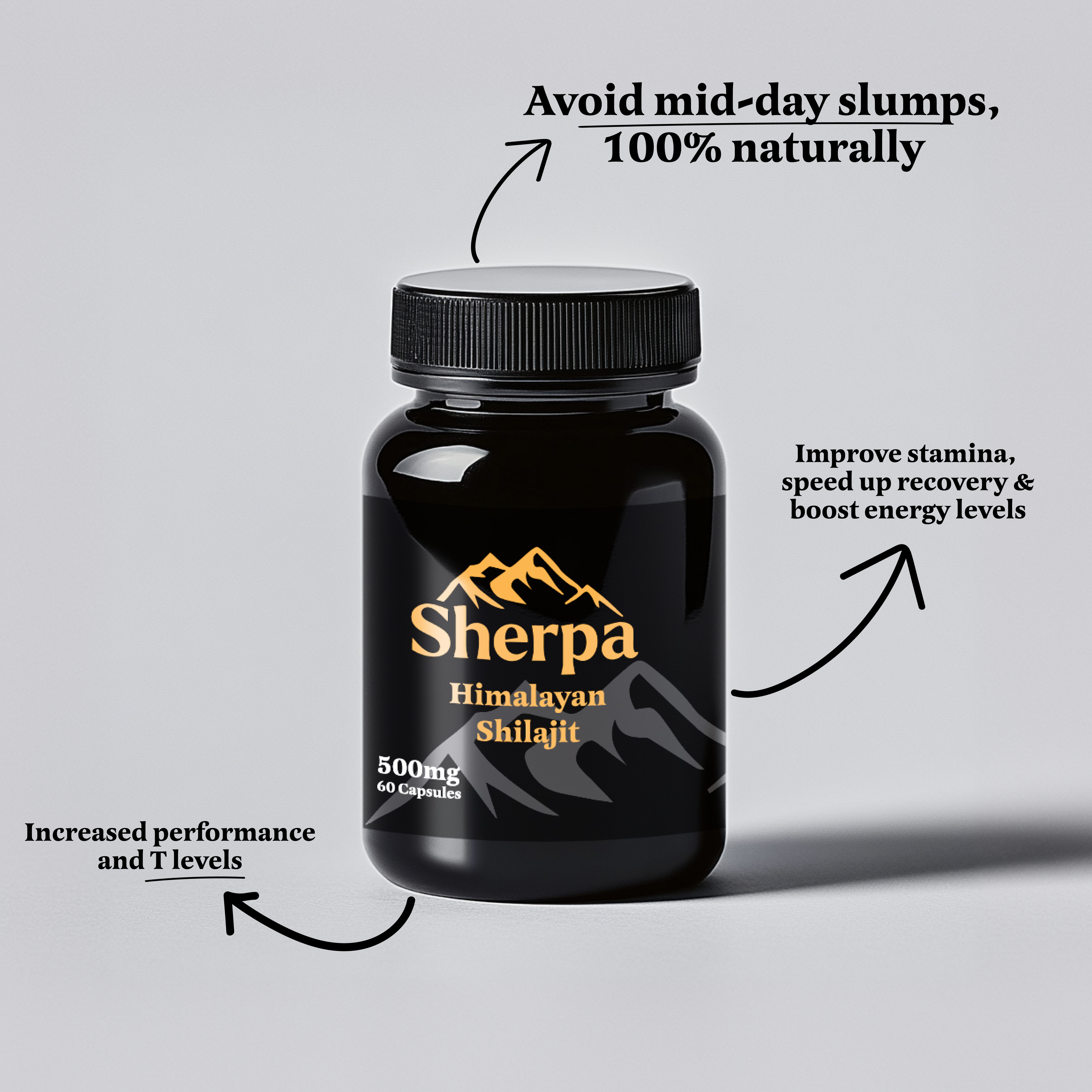 Shilajit Capsules 500mg | 720 Capsules